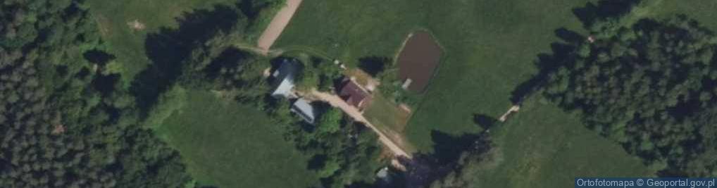 Zdjęcie satelitarne Usługi Leśne Wiesław Żyliński