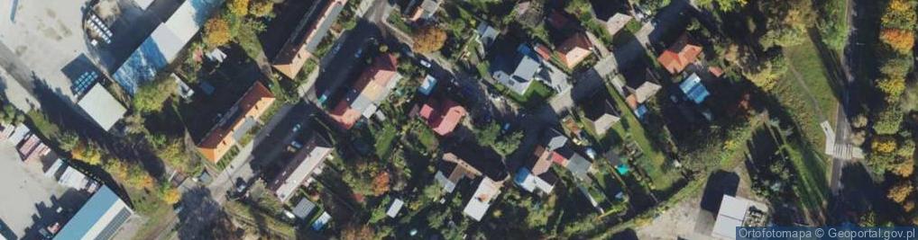 Zdjęcie satelitarne Usługi Leśne