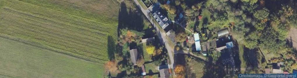 Zdjęcie satelitarne Usługi Leśne
