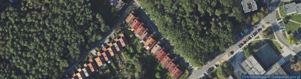 Zdjęcie satelitarne Usługi Projektowe
