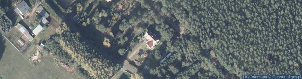 Zdjęcie satelitarne Usługi Psychologiczne