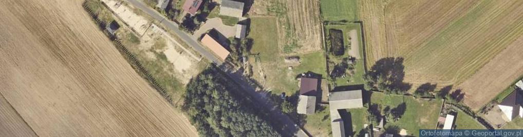 Zdjęcie satelitarne Usługi Transportowe Zrywka Drzewa