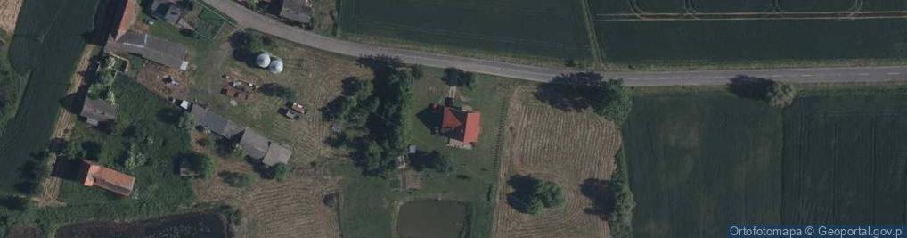 Zdjęcie satelitarne Usługi Transportowe