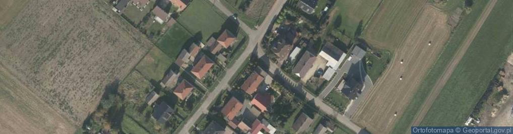 Zdjęcie satelitarne Usługi Transportowe