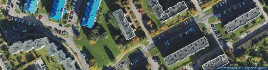 Zdjęcie satelitarne Usługi Transportowe