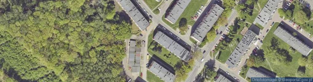 Zdjęcie satelitarne Usługi Transportowe