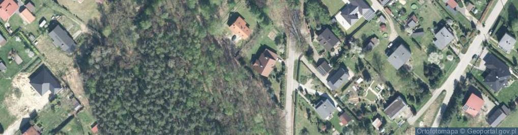 Zdjęcie satelitarne Usługi Transportowe