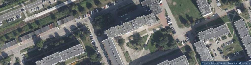 Zdjęcie satelitarne Usługi Transportowe