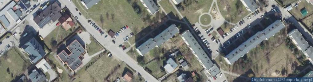 Zdjęcie satelitarne Usługowe