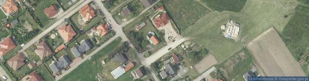 Zdjęcie satelitarne Vasilev G., Borowa