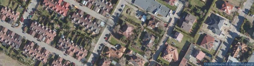 Zdjęcie satelitarne Vector Rogowska Nelli Rogowska Barbara