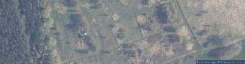 Zdjęcie satelitarne Vel Mikołajczuk
