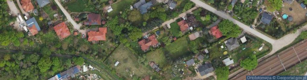 Zdjęcie satelitarne Vigia