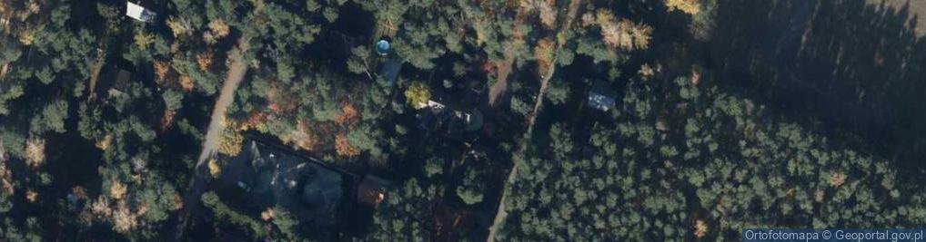 Zdjęcie satelitarne Violbis