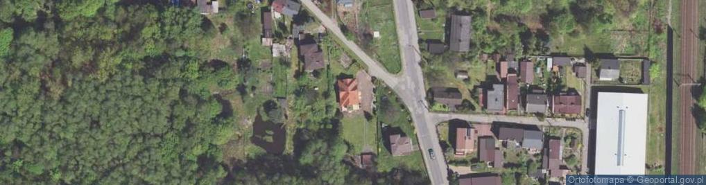 Zdjęcie satelitarne Vision