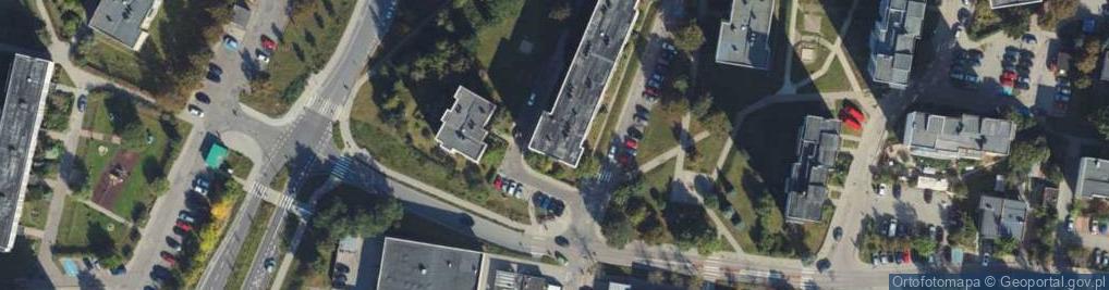 Zdjęcie satelitarne Viva Group