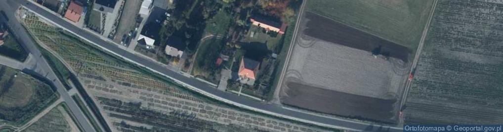 Zdjęcie satelitarne w Legutko Przedsiębiorstwo Hodowlano Nasienne