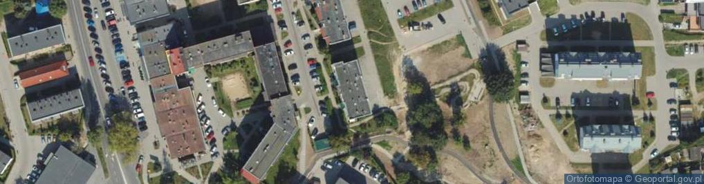 Zdjęcie satelitarne Waliszewski Leon