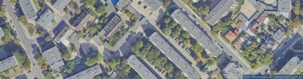 Zdjęcie satelitarne Websilon