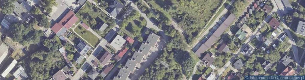 Zdjęcie satelitarne WebSystems Anna Gronostaj
