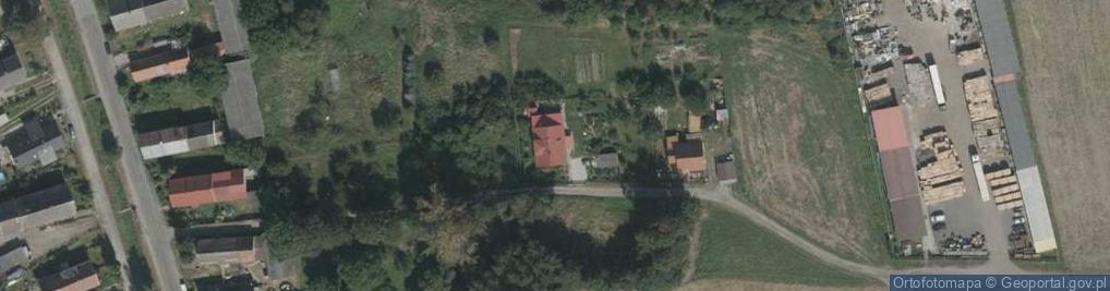 Zdjęcie satelitarne Webu Polska