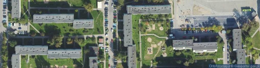 Zdjęcie satelitarne Wieczność