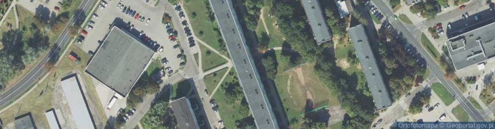 Zdjęcie satelitarne Wimar Śrem