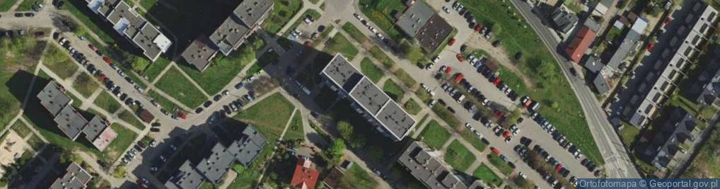 Zdjęcie satelitarne Wioletta Tomala