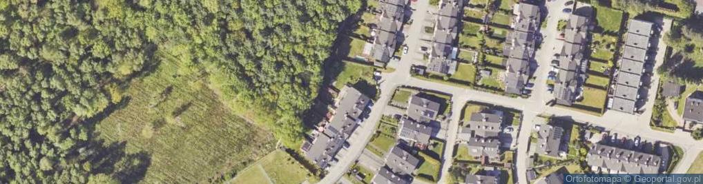 Zdjęcie satelitarne Wioletta Walny