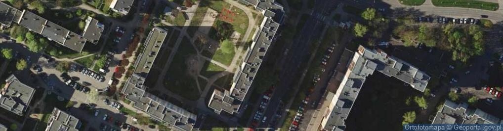 Zdjęcie satelitarne Wioletta Wojda-Kuryś