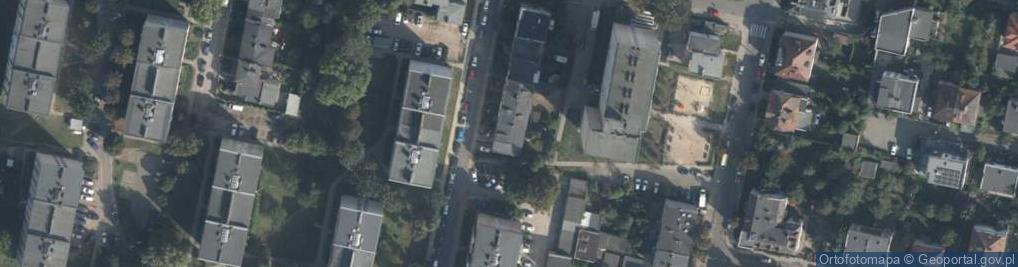 Zdjęcie satelitarne Witkowiak