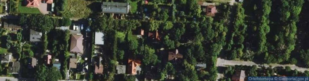 Zdjęcie satelitarne Witold Bokun