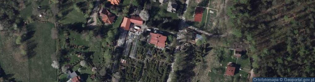 Zdjęcie satelitarne Wojciech Tomala Ogrody, Drzewka, Kamień Ozdobny, Transport