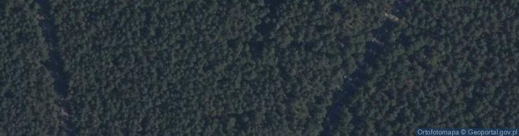 Zdjęcie satelitarne Wojskowy Dom Wypoczynkowy w Rynii