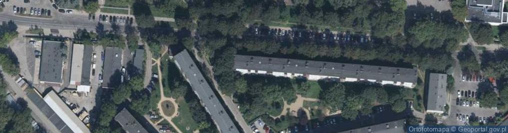 Zdjęcie satelitarne Woodstyl Mariusz Jaruga