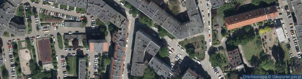 Zdjęcie satelitarne World Wood Joanna Świderska