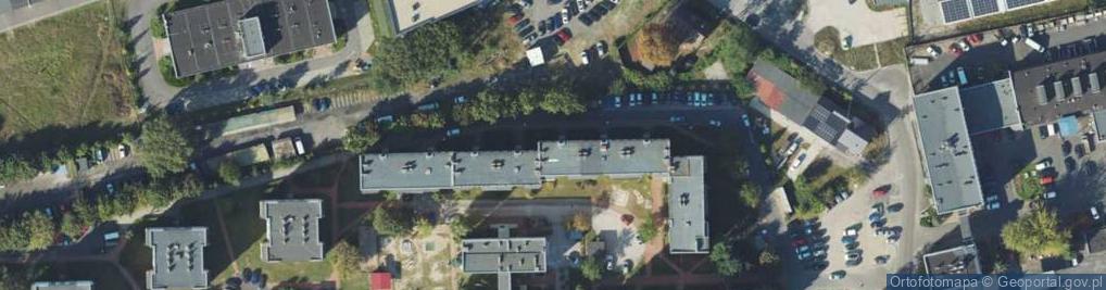 Zdjęcie satelitarne Wycinanie drzew Zielona Góra Alpin-Tech