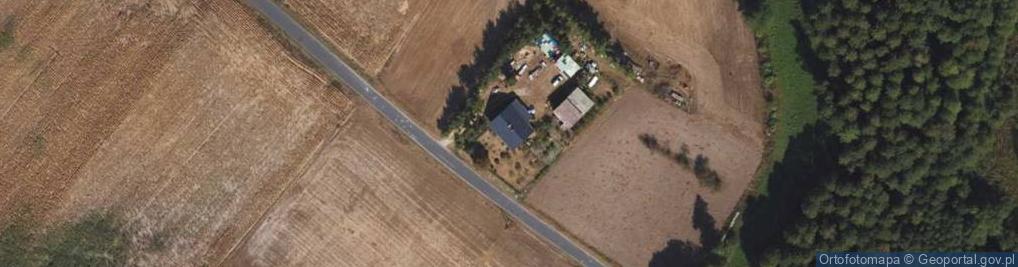 Zdjęcie satelitarne Wykonanie Usług w Lasach Witkowski Henryk