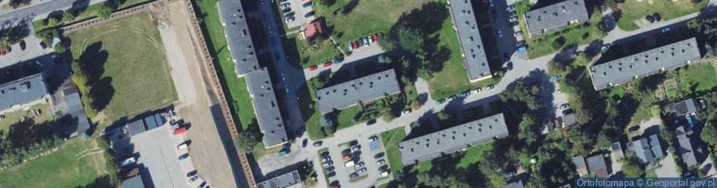 Zdjęcie satelitarne Wykonywanie Obrazów Techniką Markieterii i Intarsii