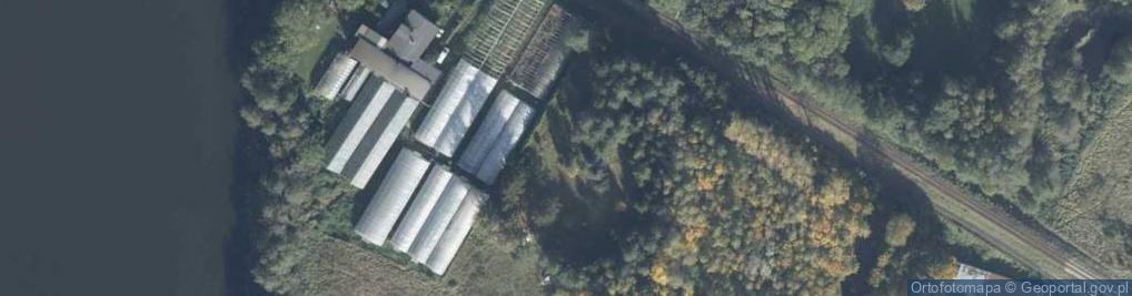 Zdjęcie satelitarne Wytwarzanie Listew i Parkietów Krzycko Wielkie
