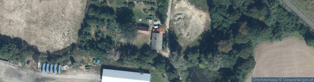 Zdjęcie satelitarne York- Team Zbigniew Walesiewicz