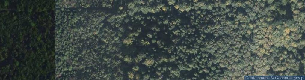 Zdjęcie satelitarne Zakład Usług Leśnych Jawor