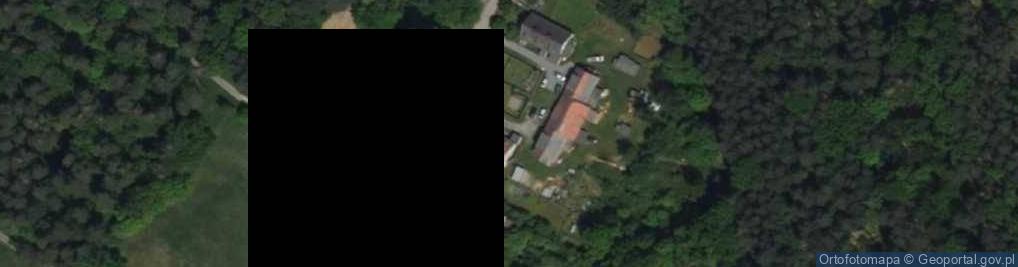 Zdjęcie satelitarne Zakład Usług Leśnych Krzew