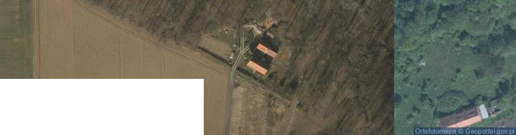 Zdjęcie satelitarne Zakład Usług Leśnych Łukasik Henryk