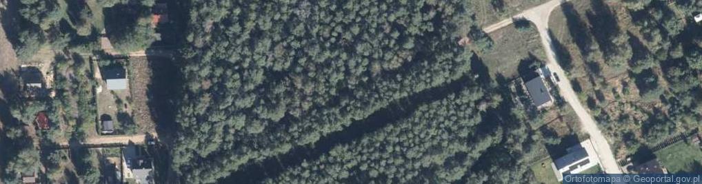 Zdjęcie satelitarne Zakład Usług Leśnych