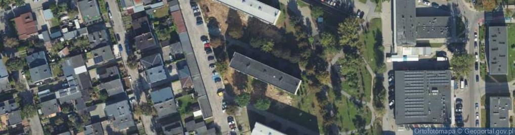 Zdjęcie satelitarne Żaneta Plińska Feliks