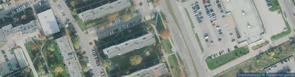 Zdjęcie satelitarne Zarobkowy Przewóz Osób