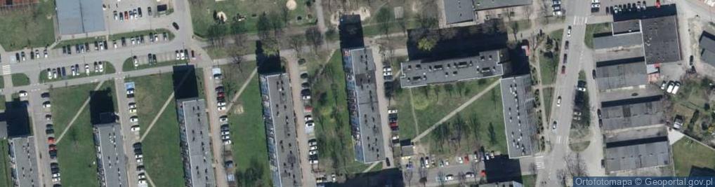 Zdjęcie satelitarne Zbigniew Zarek - Działalność Gospodarcza