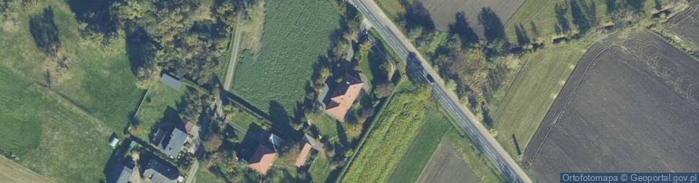 Zdjęcie satelitarne Zdrowe Stopy Katarzyna Adamiec