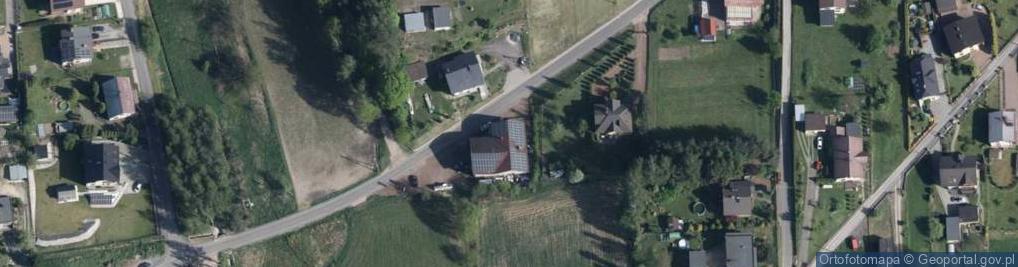 Zdjęcie satelitarne Zenker Andrzej Niebieski
